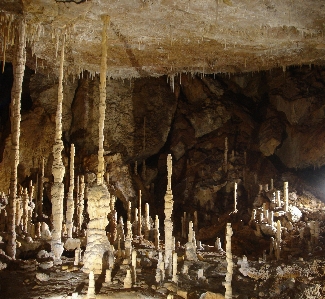 形成 洞窟 マヨルカ島
 洞窟探検
 写真