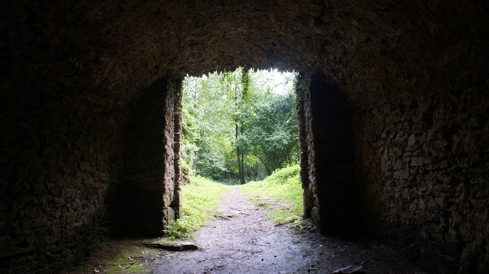 Nature forest path light