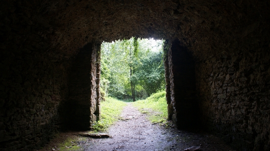 Doğa orman yol ışık Fotoğraf