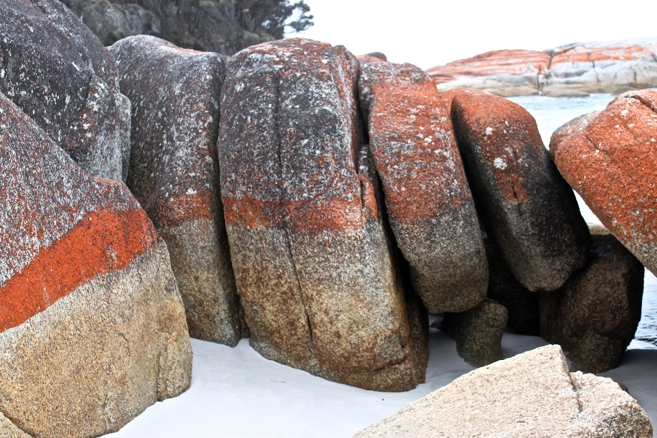 해변 자연 모래 rock