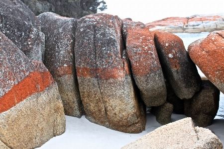 Foto Pantai alam pasir rock