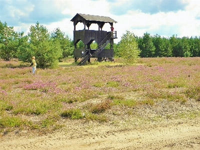 Landschaft wandern
 pfad feld Foto