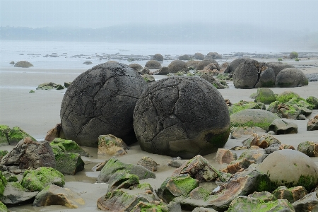 Beach landscape sea coast Photo