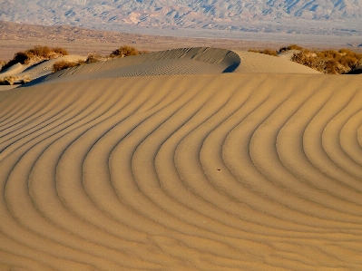 Landscape sand field desert Photo