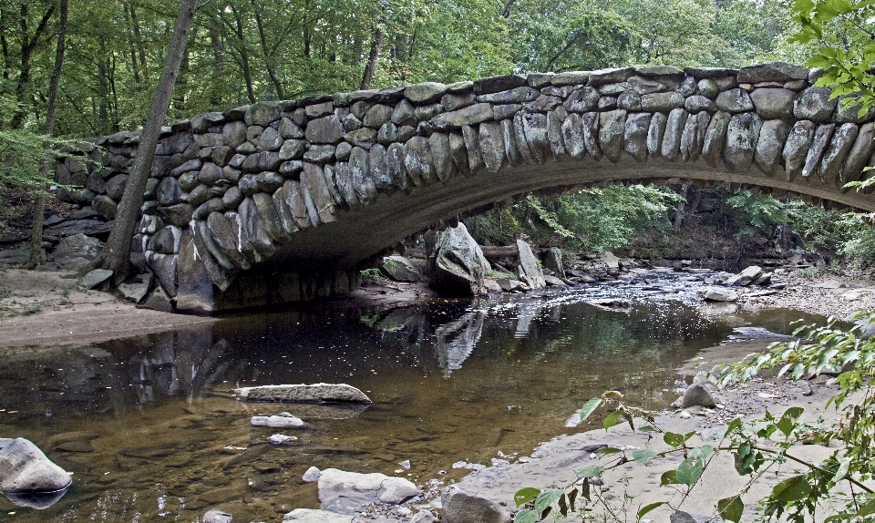 Paisaje naturaleza arroyo
 puente