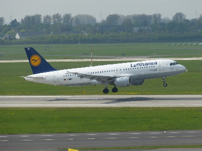 Fly airport airplane tarmac Photo