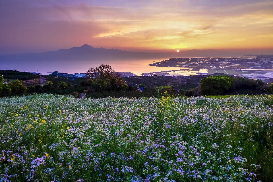 Landscape sea coast nature