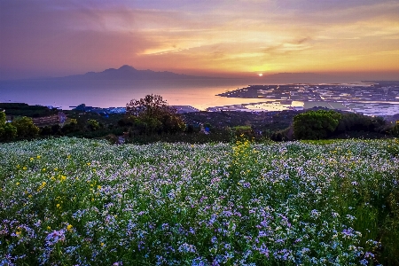 Landscape sea coast nature Photo