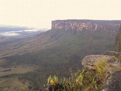 Landscape coast rock wilderness Photo