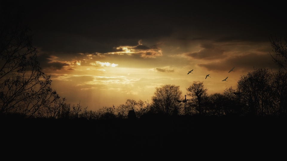 Nature horizon lumière nuage