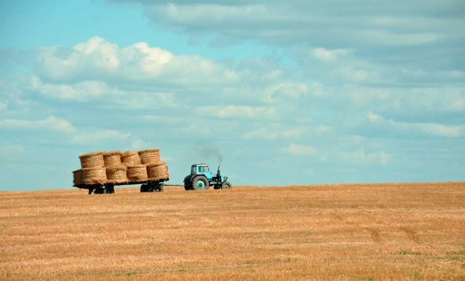 Arbeiten horizont anlage himmel