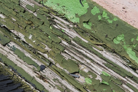 Texture wall green soil Photo