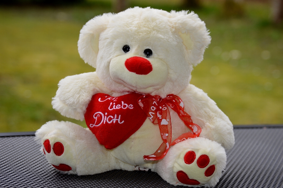 White sweet cute bear