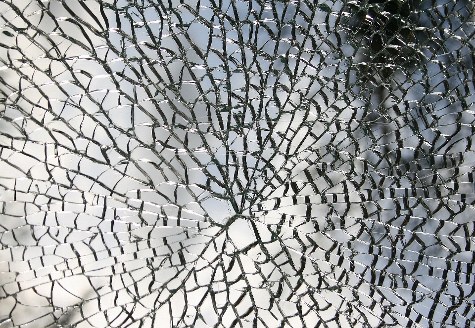 Branch texture leaf glass