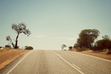 Tree horizon sky road Photo