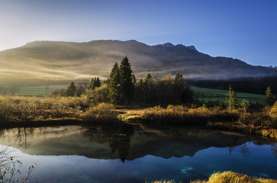 Landschaft baum wasser natur