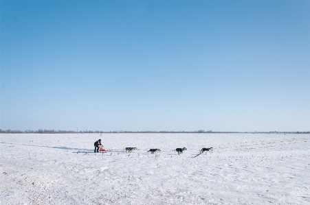 Beach sea sand snow Photo