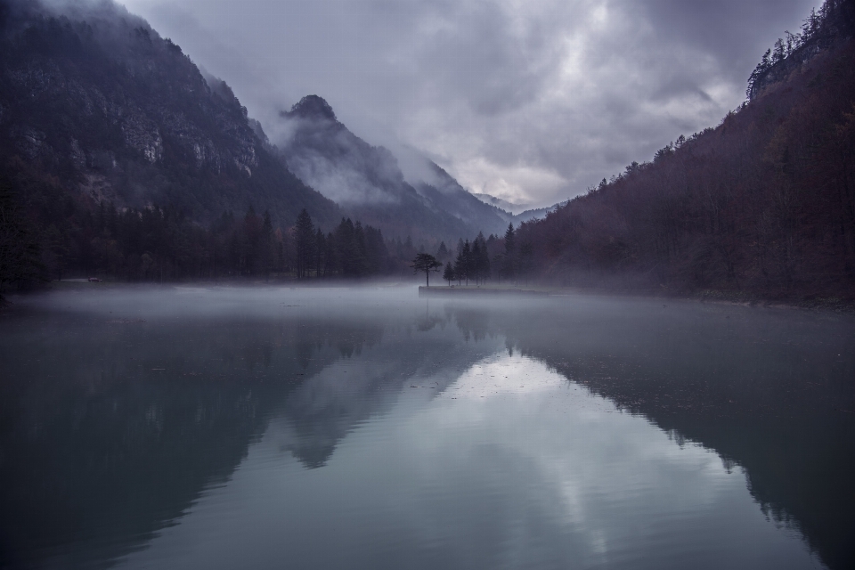 Landschaft baum wasser natur