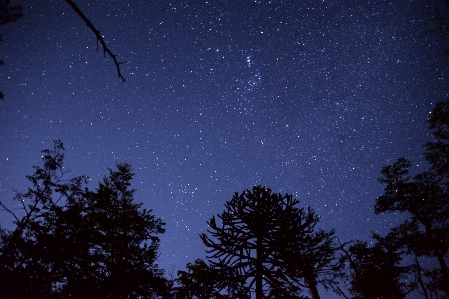 Manzara ışık gökyüzü gece Fotoğraf