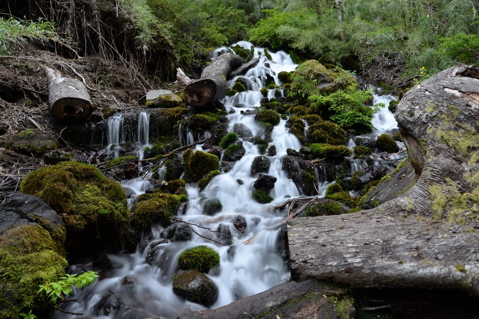 Landscape water nature forest