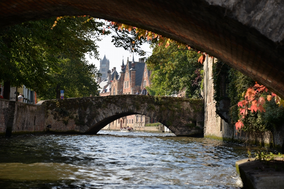 Paysage arbre eau pont