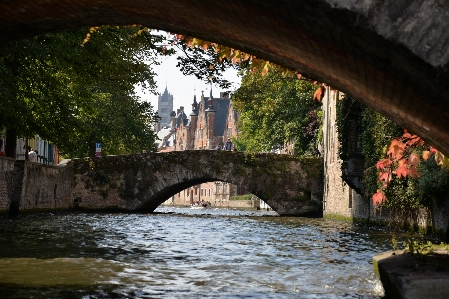 Landscape tree water bridge Photo