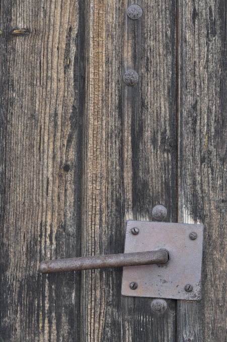 Natura struttura legna grano