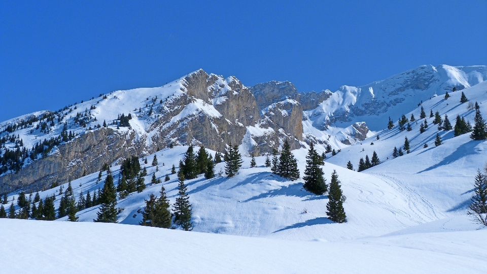 Landschaft natur berg schnee