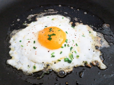 皿 食事 食べ物 生産 写真