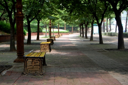 Pedestrian road bench street Photo