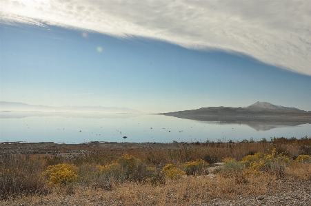 Landscape sea tree nature Photo