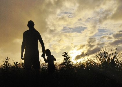 Hand man horizon silhouette Photo