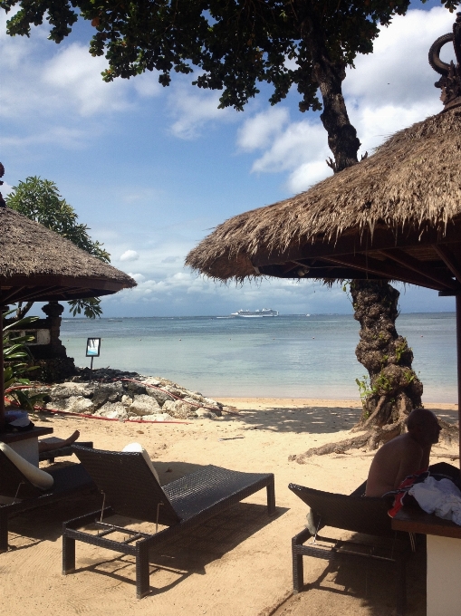 Pantai laut pesisir pohon