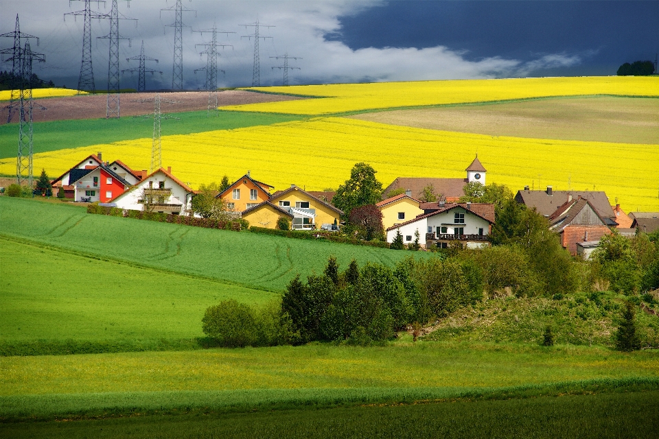 Paisagem natureza grama estrutura