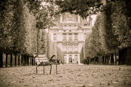 Tree house chair chateau Photo