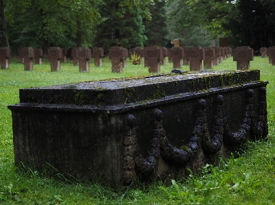 Photo Arbre sombre cimetière jardin