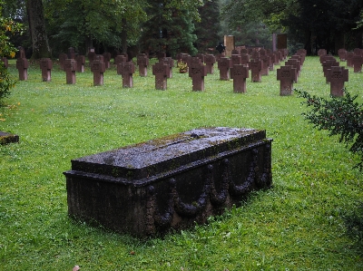 Photo Arbre sombre cimetière jardin