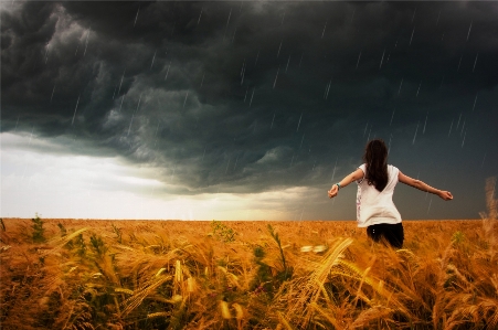 Nature grass horizon cloud Photo