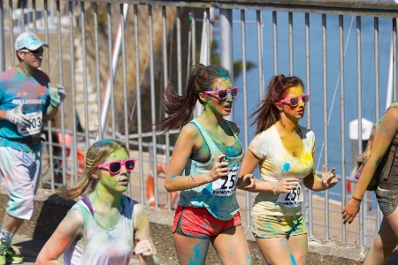 People running young paint Photo