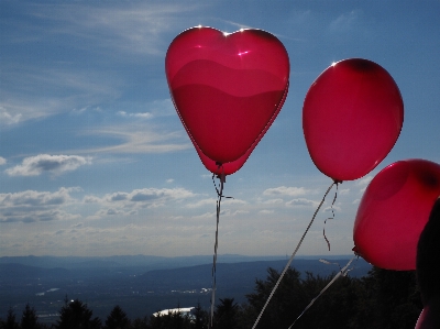 Foto Langit bunga balon udara