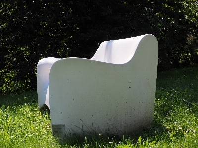 Nature grass white bench Photo