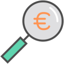 Magnifying glass Icon