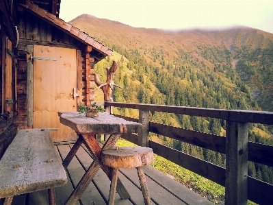 Table nature deck wood Photo