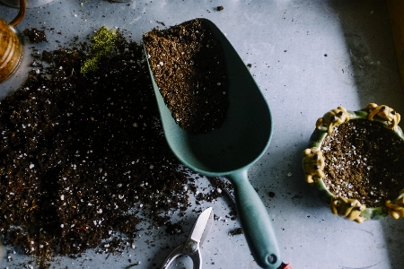 Food produce soil gardening Photo