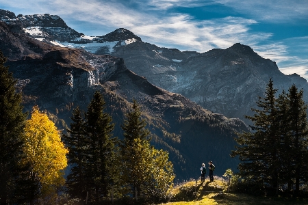 Man landscape tree nature Photo