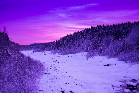 Forest mountain snow winter Photo