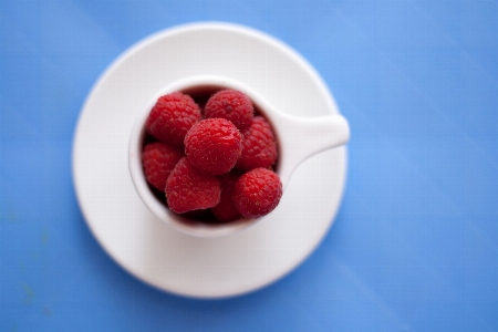 Plant raspberry fruit berry Photo