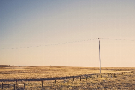 Landscape grass horizon cloud Photo