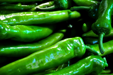 Plant food green pepper Photo