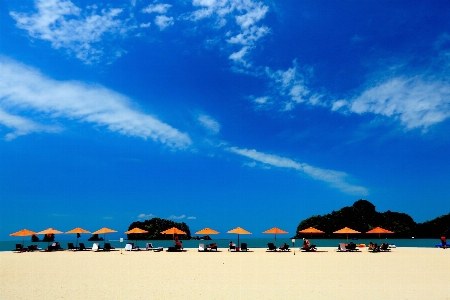 Beach sea coast ocean Photo